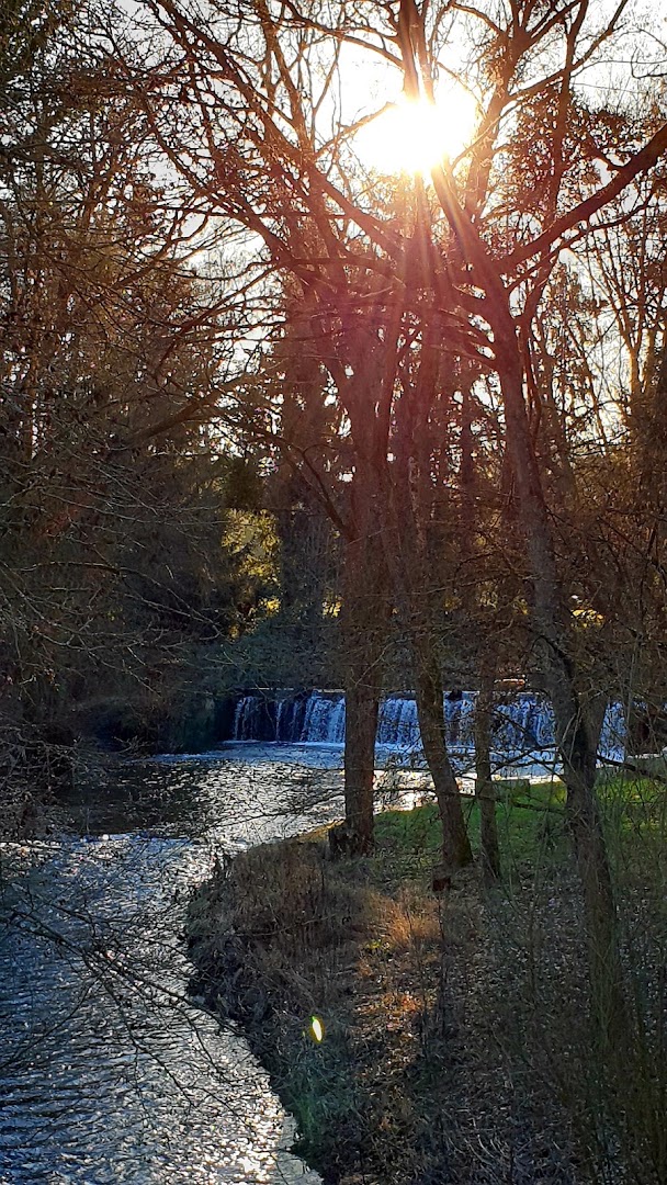 Wassertretanlage Bengel · Fotos 14